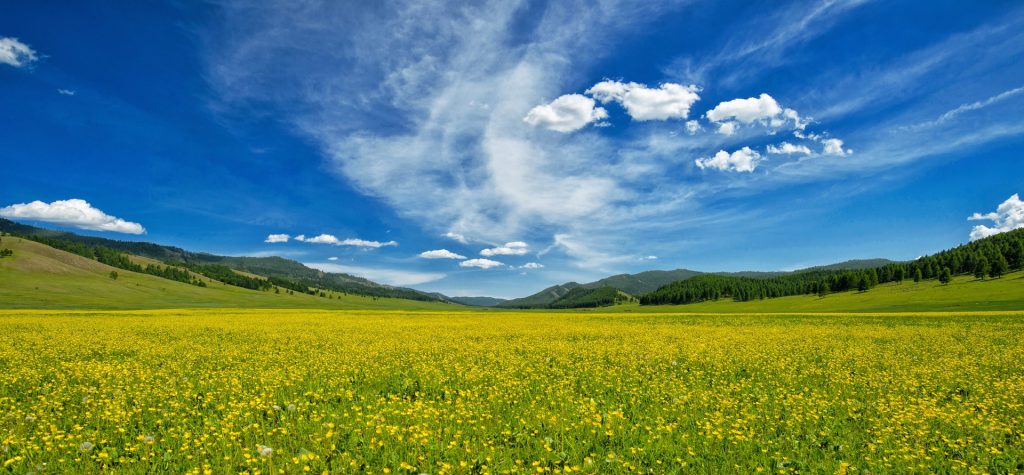 A Land In Mongolia